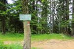 2014-07-05_Laengental-N-Hochweg (939). JPG